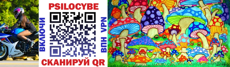 где купить   мориарти клад  hydra ТОР  Галлюциногенные грибы Magic Shrooms  Дюртюли 